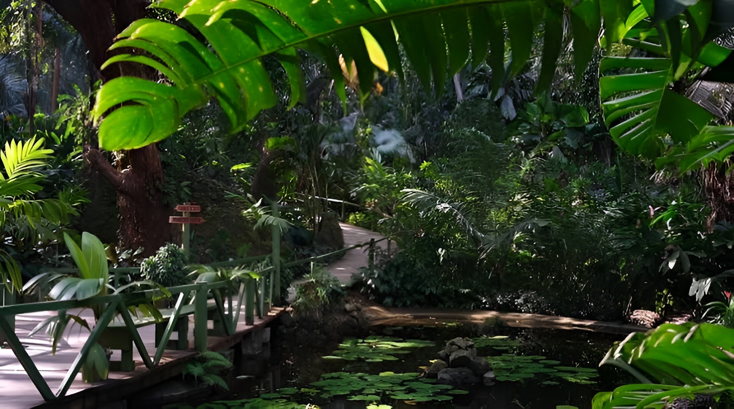 Boardwalk through the orchid gardens at the Garden of the Sleeping Giant, Nadi, Fiji